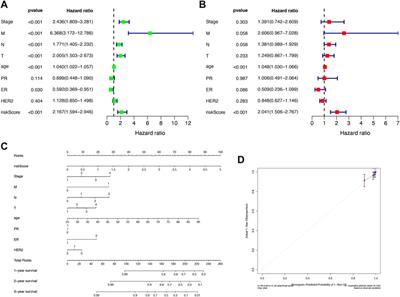 Identification of novel immune ferroptosis-related genes associated with clinical and prognostic features in breast cancer